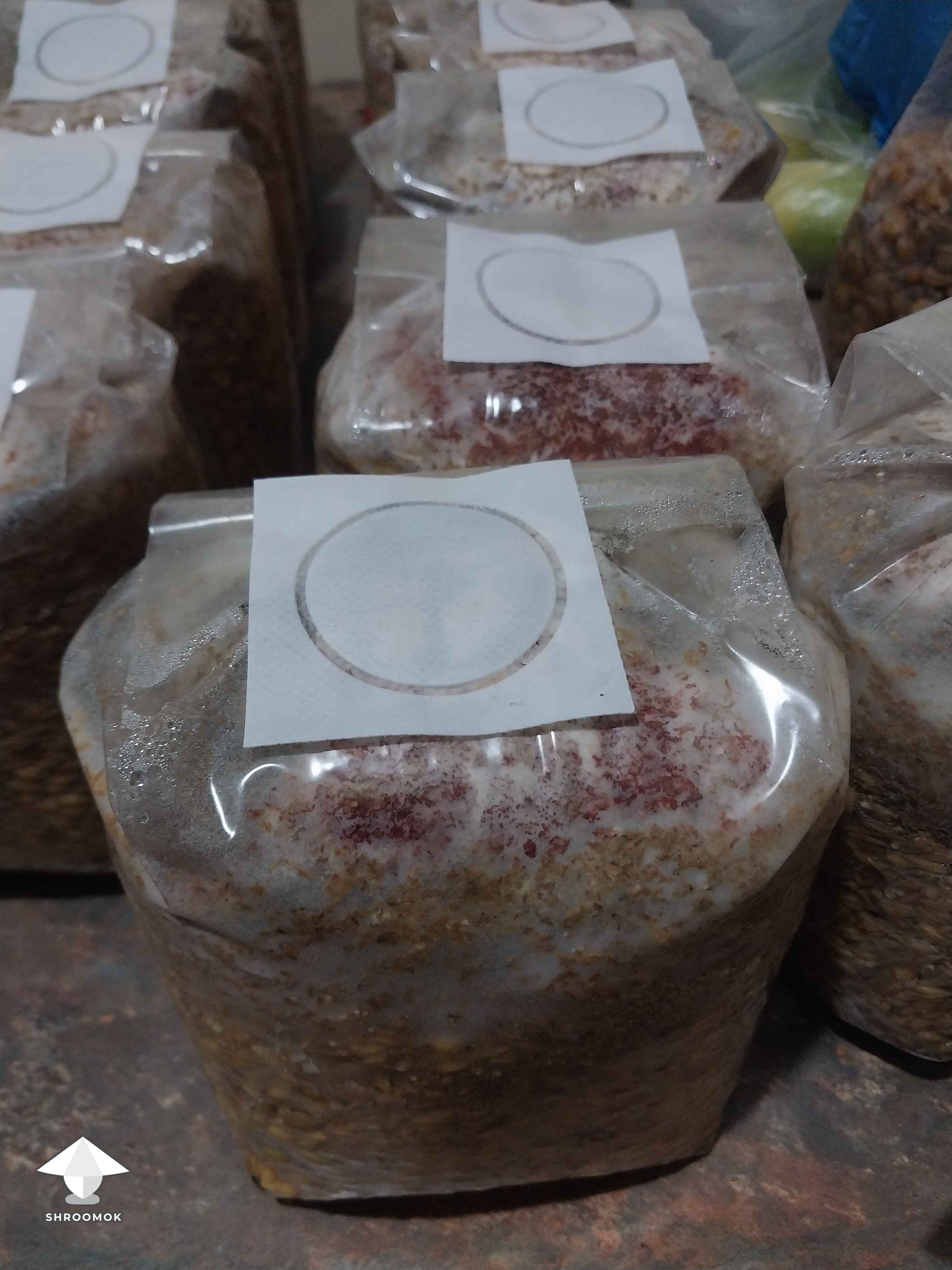 Lipstick Mold example 2