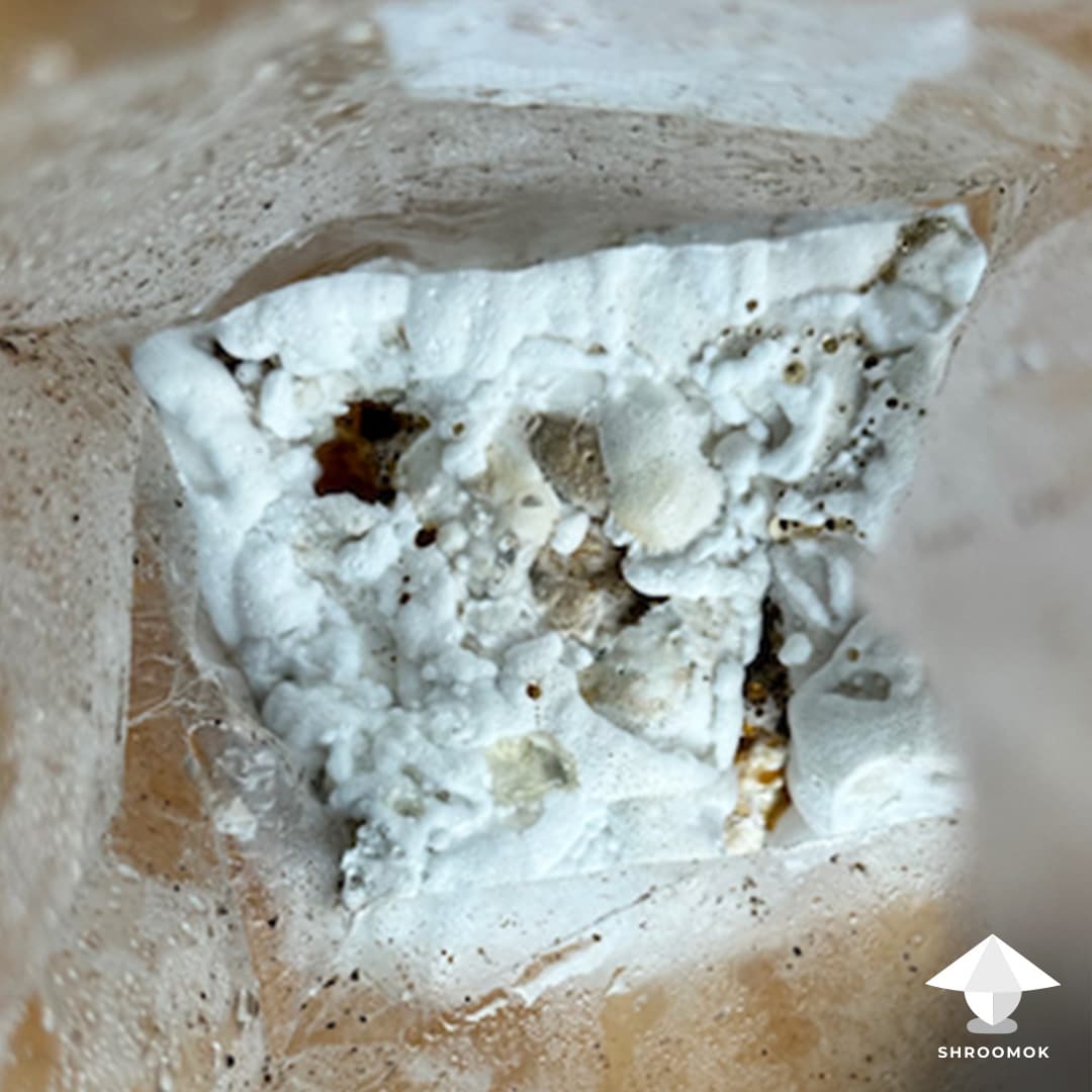 Overlay (Stroma) example 2