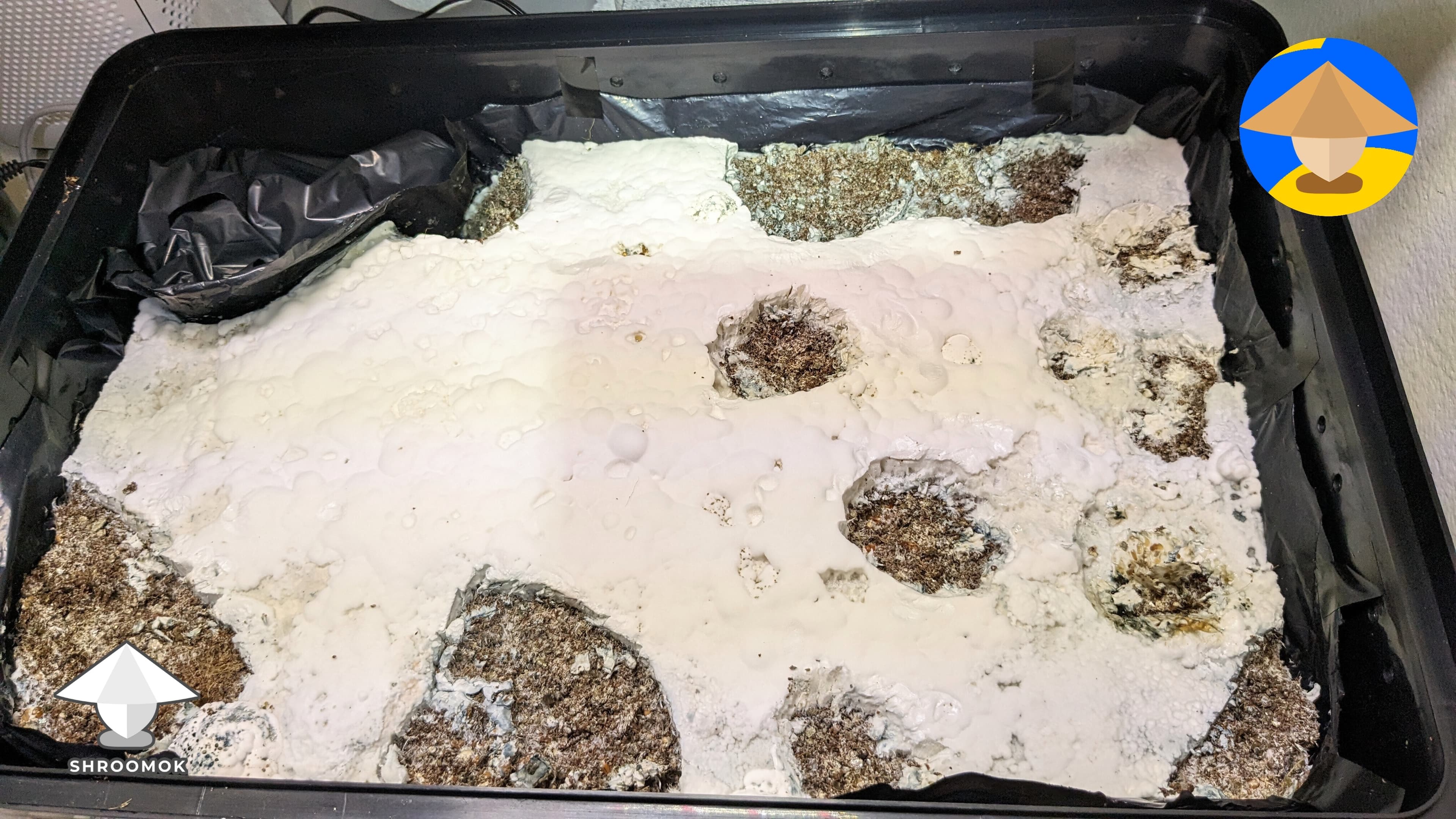 Overlay (Stroma) example 4